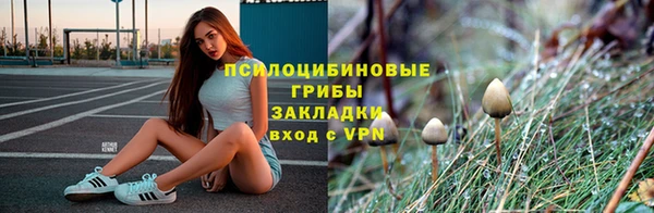 таблы Белокуриха