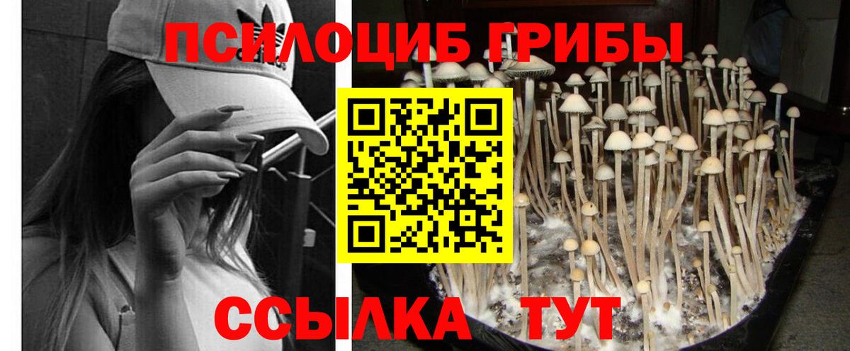Галлюциногенные грибы мицелий Кстово